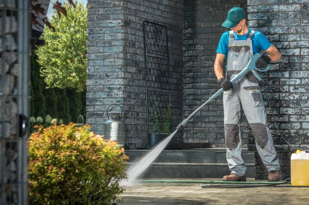 Best Rust Removal  in Renton, WA