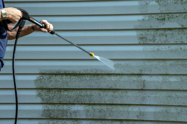 Best Patio and Deck Pressure Washing  in Renton, WA