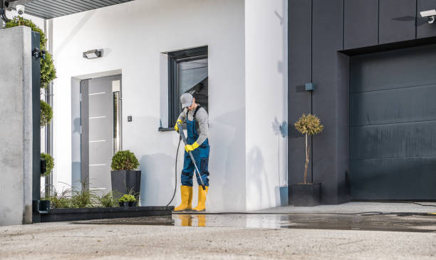 Best Driveway Pressure Washing  in Renton, WA